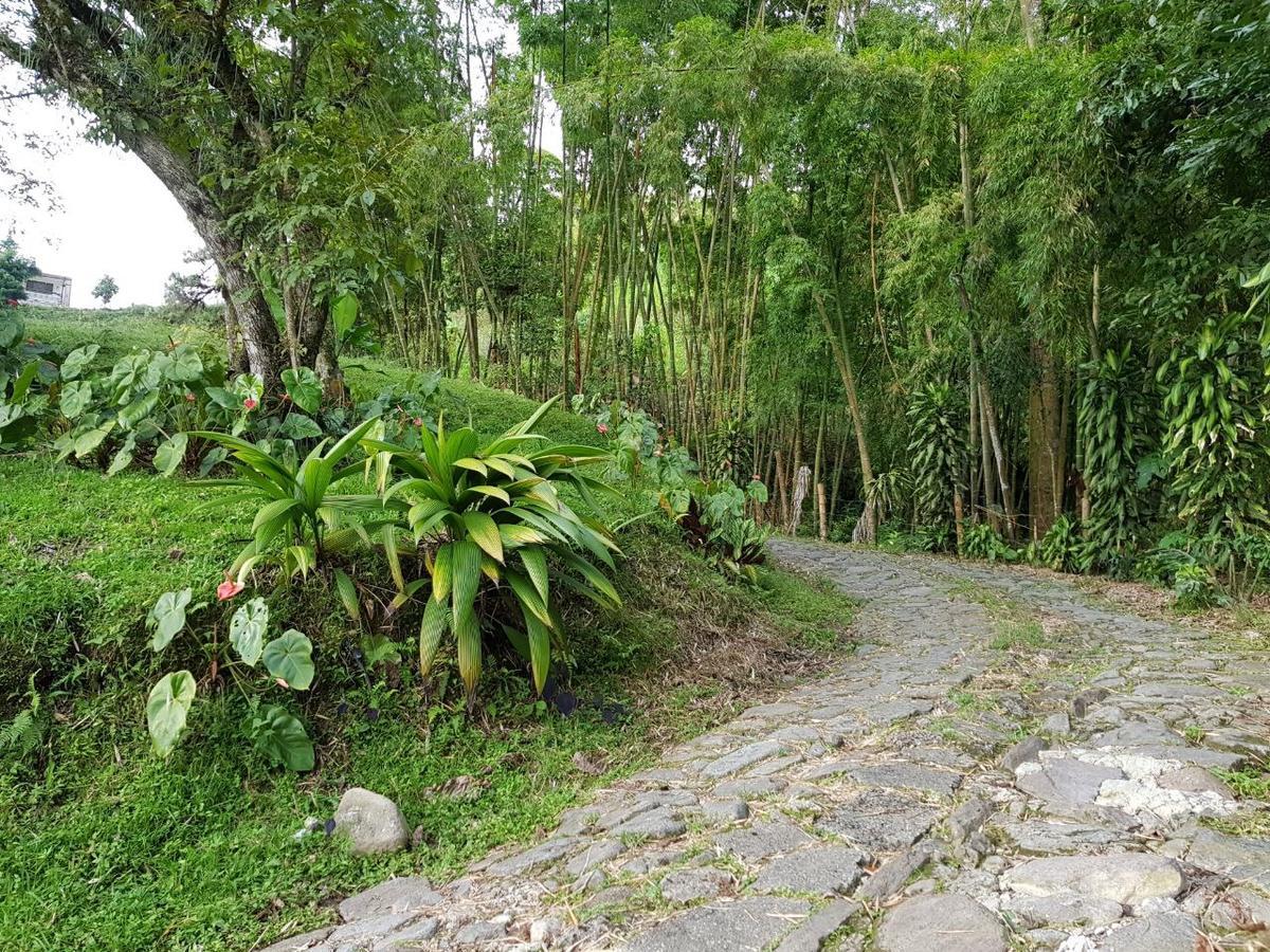 Lodge Paraiso Verde La Linda Buitenkant foto